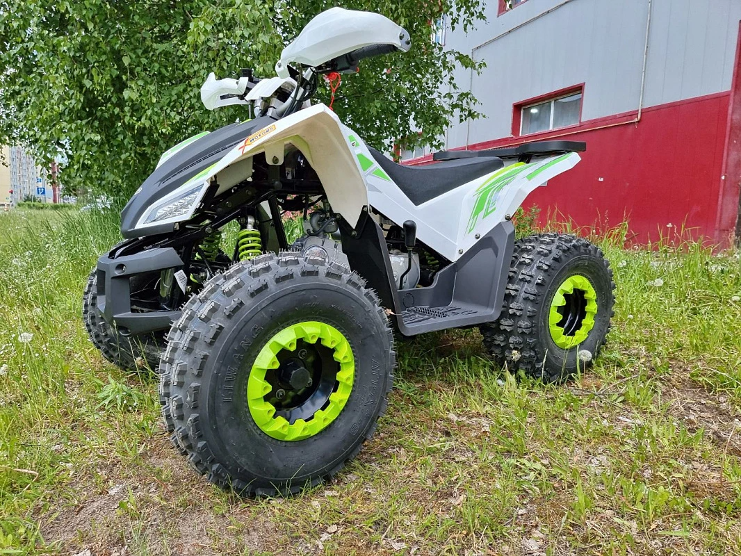 PROMAX SPORT - PRO 180 (2025)